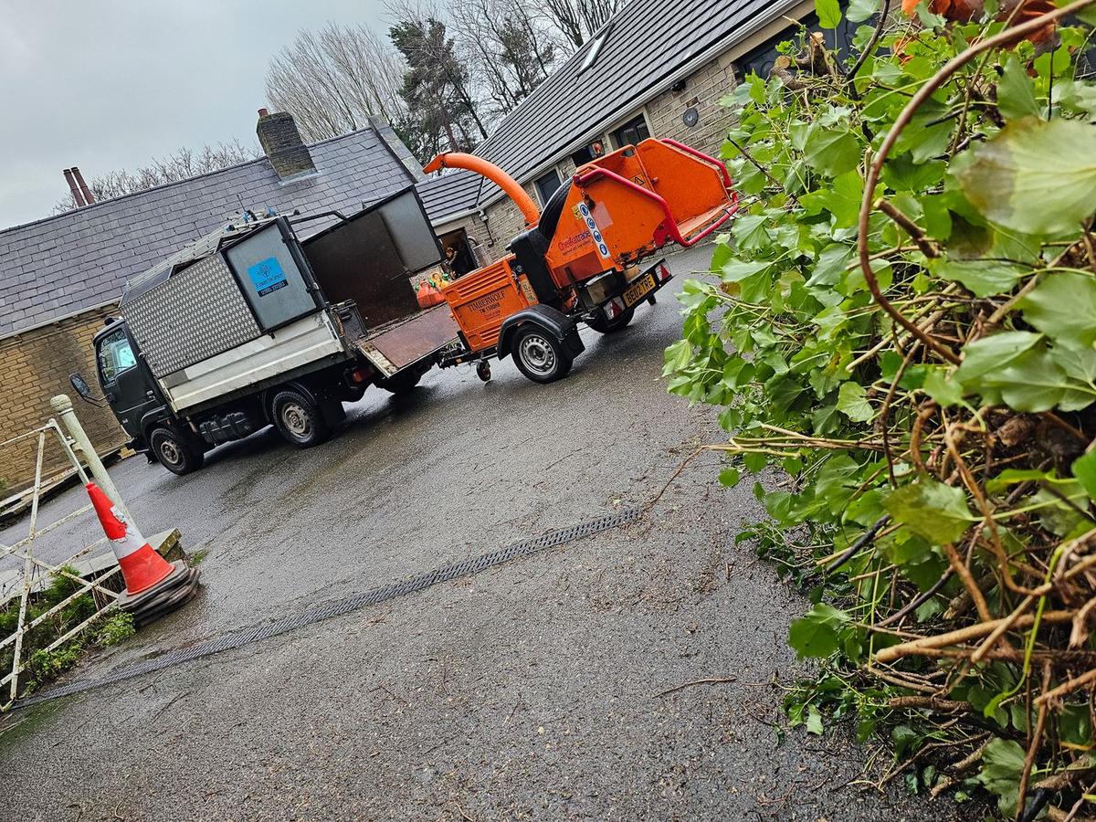 Precision Tree Maintenance