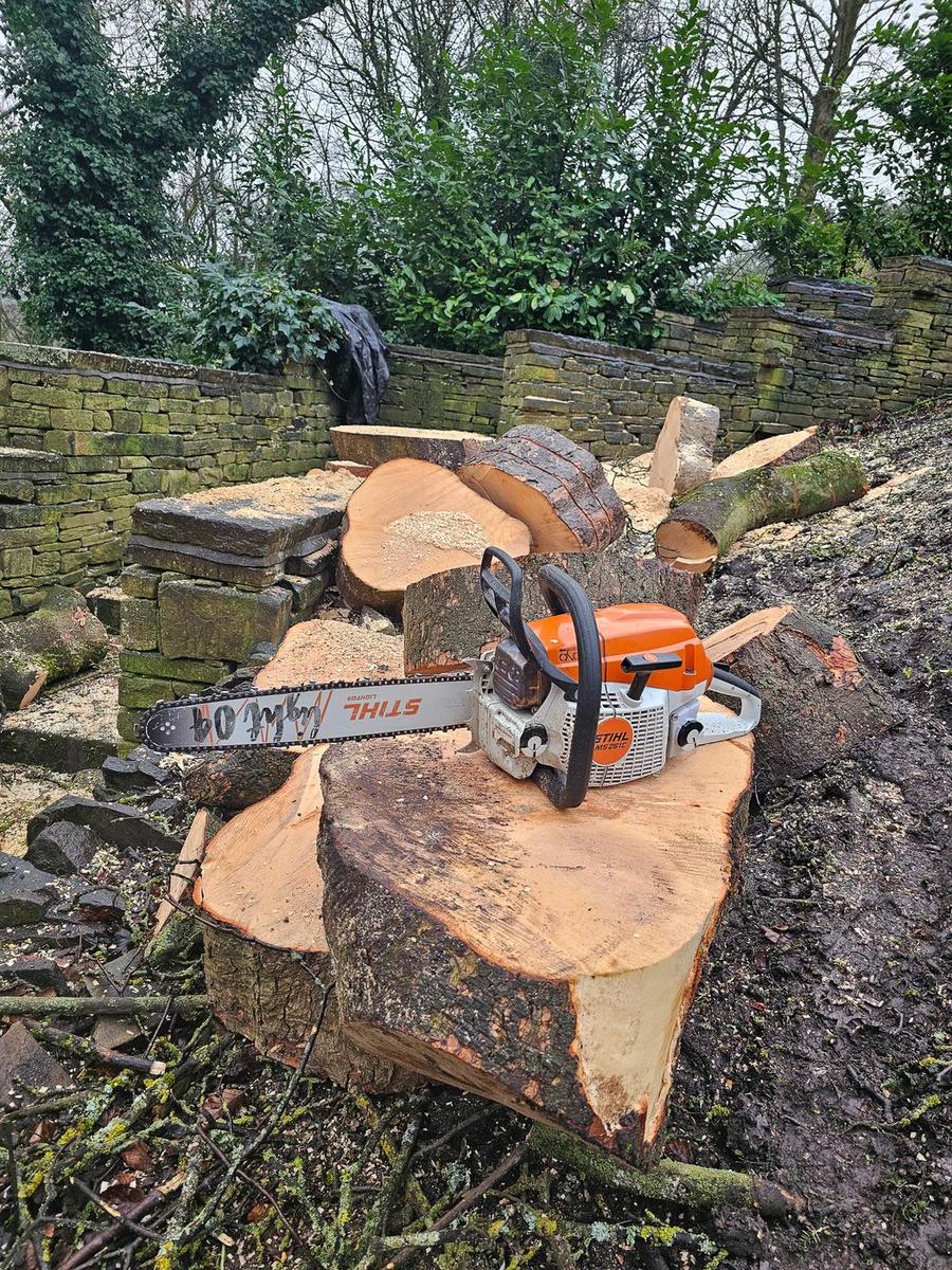 Tight Access Tree Removal