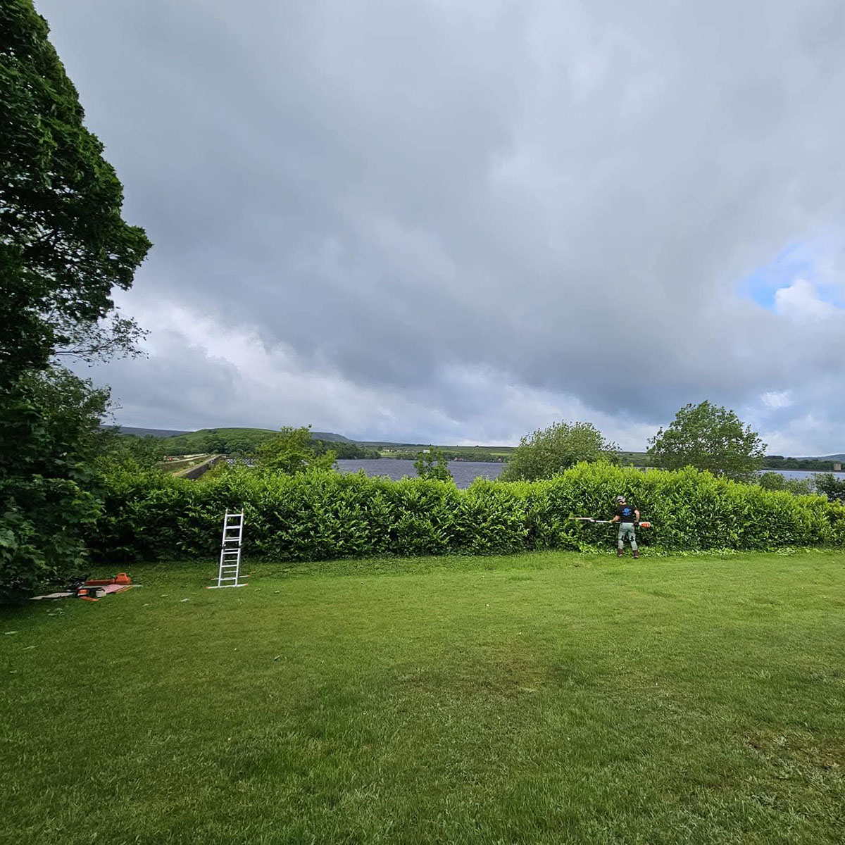 Formal Boundary Hedge Sculpting